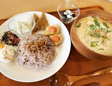 MUSEUM CAFE and garden