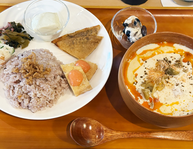 MUSEUM CAFE and garden