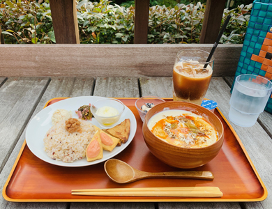 MUSEUM CAFE and garden
