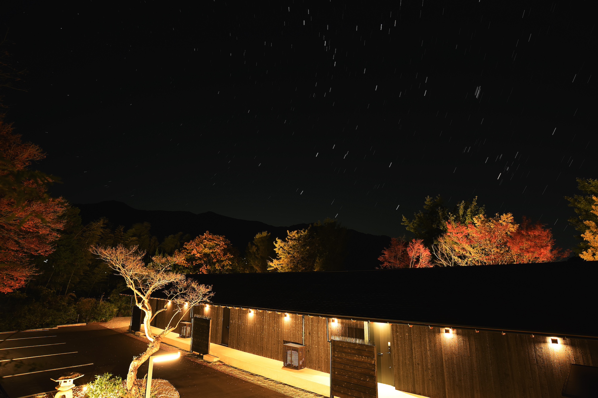 年末年始の予約状況に関しまして