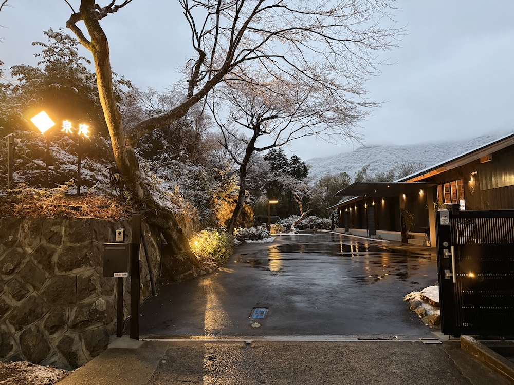 初めての雪化粧をまといました